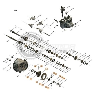 Differential ASM Differential ASM