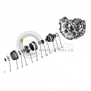 62TE thrust bearing 2
