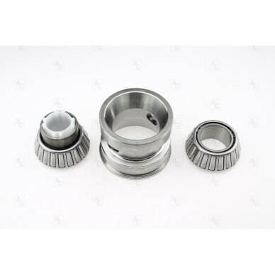 ZF 8HP90A/8HP95A priekinio diferencialo guolių komplektas 1 ZF 8HP90A/8HP95A priekinio diferencialo guolių komplektas 1