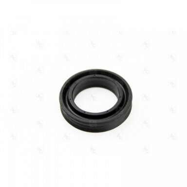O-Ring