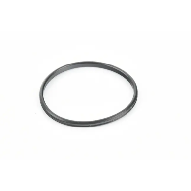 DQ381 / 0GC electric motor seal ring DQ381 / 0GC electric motor seal ring