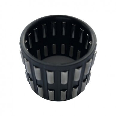MPS6, 6DCT450 input shaft needle roller bearing