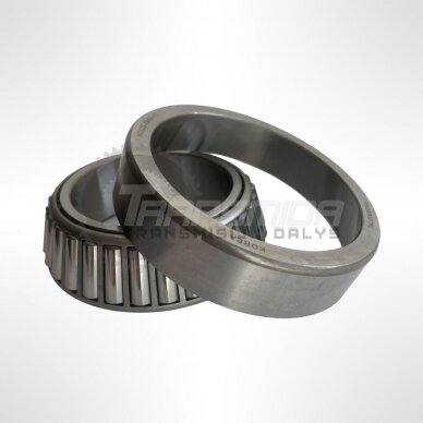 Bearing Bearing