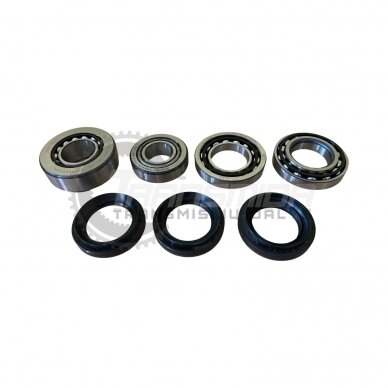 Bearing and seal kit Bearing and seal kit