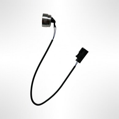 Sensor