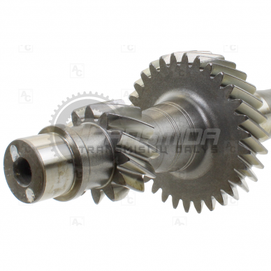 Input shaft 2 Input shaft 2