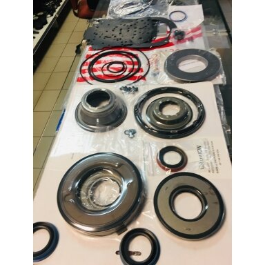 Overhaul Kit with Pistons
