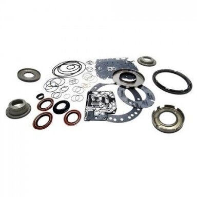 Overhaul Kit with Pistons