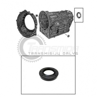 TF60SN adapterio korpuso riebokšlis 1 TF60SN adapterio korpuso riebokšlis 1
