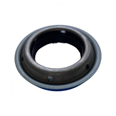 Seal 1