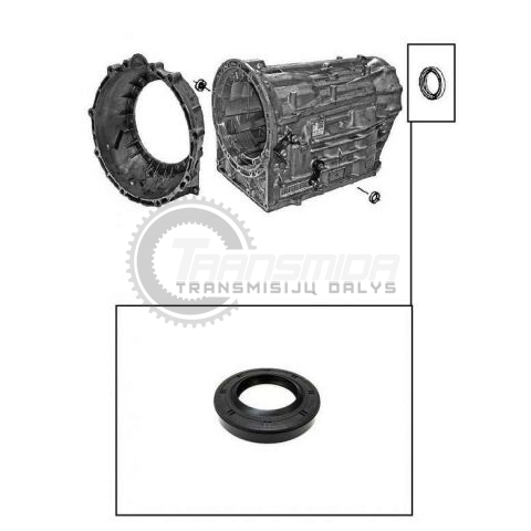 TF60SN adapterio korpuso riebokšlis 1 TF60SN adapterio korpuso riebokšlis 1