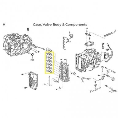 Solenoidas Solenoidas