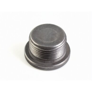 Threaded plug 1