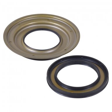 0B5/DL501 piston kit 0B5/DL501 piston kit