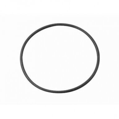 TR60 O-ring