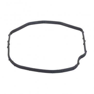 Gasket Gasket
