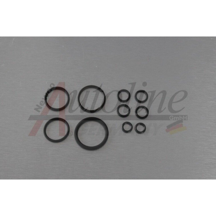 Комплект O-колец мехатроника 725.0 / 9G-Tronic Комплект O-колец мехатроника 725.0 / 9G-Tronic