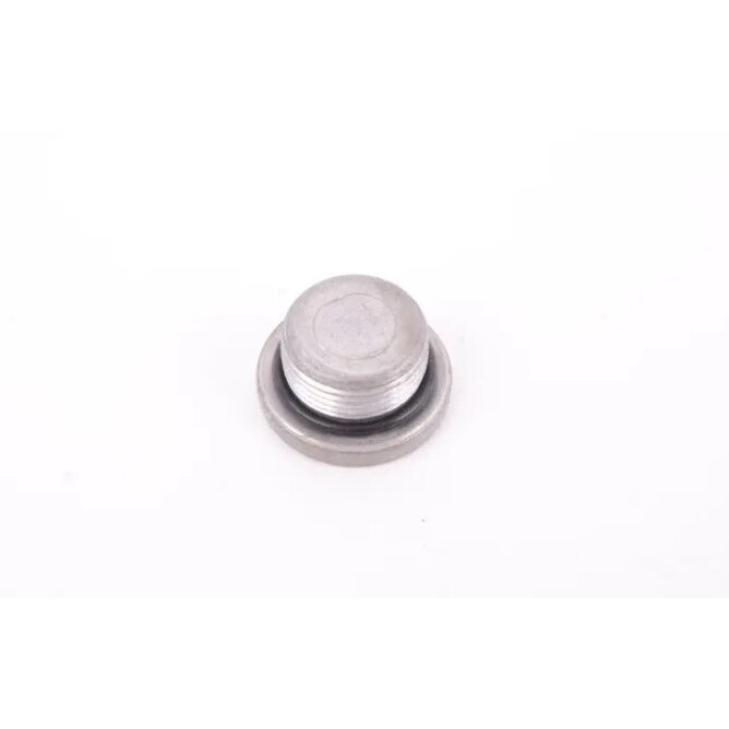 Screw Plug 1
